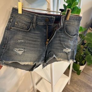 Fran Denim low rise jean shorts